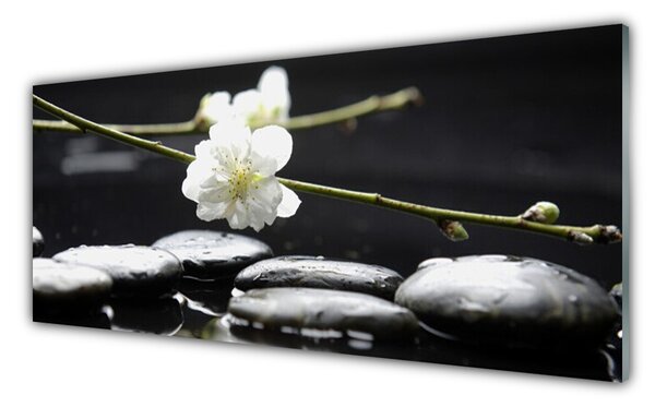 Nástenný panel  Kvet kamene umenie 125x50 cm