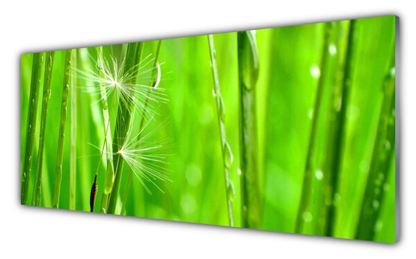 Nástenný panel  Tráva rastlina príroda 125x50 cm