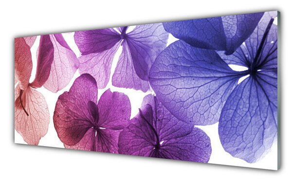 Nástenný panel  Kvety rastlina príroda 125x50 cm