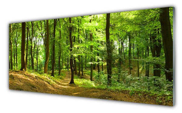 Nástenný panel  Les príroda 125x50 cm