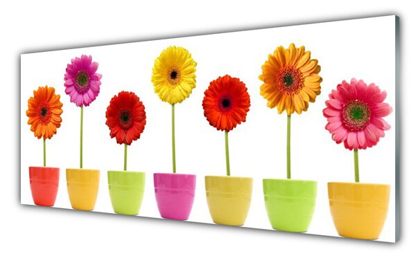 Sklenený obklad Do kuchyne Kvety rastlina príroda 125x50 cm