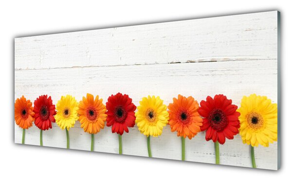 Sklenený obklad Do kuchyne Kvety rastlina príroda 125x50 cm