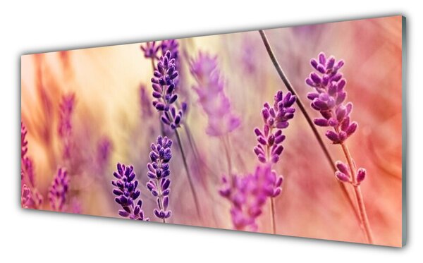 Sklenený obklad Do kuchyne Kvety rastlina príroda 125x50 cm