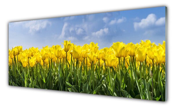 Sklenený obklad Do kuchyne Tulipány kvety rastlina 125x50 cm