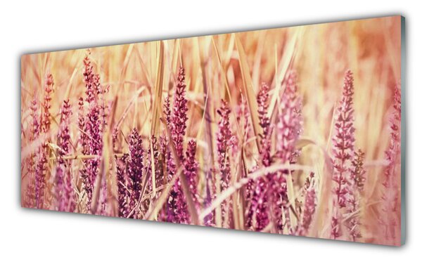 Sklenený obklad Do kuchyne Pšenica rastlina príroda 125x50 cm
