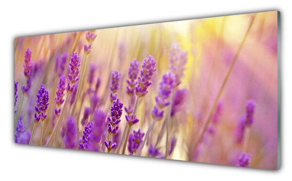 Sklenený obklad Do kuchyne Kvety rastlina príroda 125x50 cm