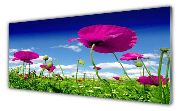 Sklenený obklad Do kuchyne Lúka kvety nebo príroda 125x50 cm