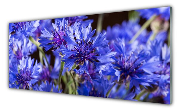 Sklenený obklad Do kuchyne Kvety rastlina príroda 125x50 cm