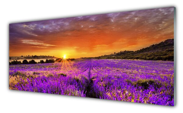 Sklenený obklad Do kuchyne Západ slnka pole levanduľa 125x50 cm