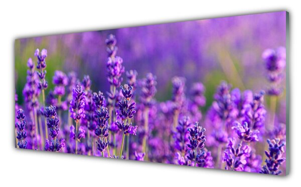 Sklenený obklad Do kuchyne Pole fialová levanduľa 125x50 cm