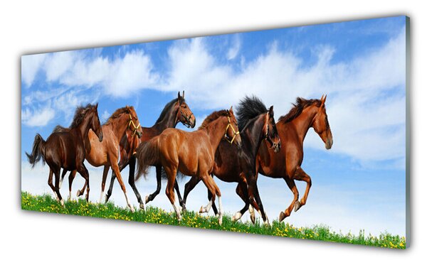 Sklenený obklad Do kuchyne Cválajúci kone na pastvine 125x50 cm