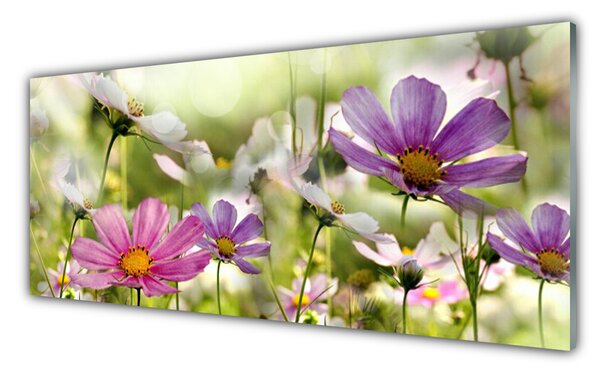 Sklenený obklad Do kuchyne Kvety rastlina príroda 125x50 cm