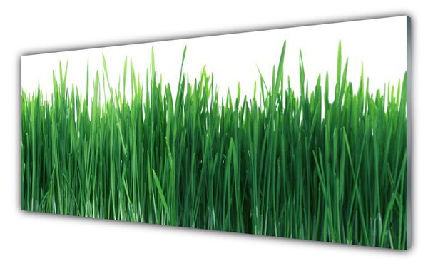 Sklenený obklad Do kuchyne Tráva príroda rastlina 125x50 cm