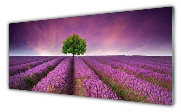 Sklenený obklad Do kuchyne Lúka strom príroda 125x50 cm