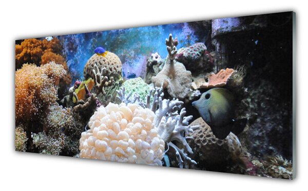 Sklenený obklad Do kuchyne Koralový útes príroda 125x50 cm