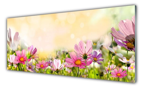Sklenený obklad Do kuchyne Kvety rastlina príroda 125x50 cm