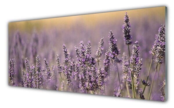 Sklenený obklad Do kuchyne Kvety rastlina príroda 125x50 cm
