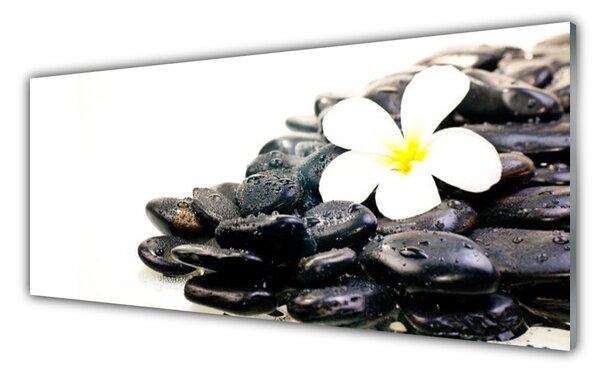 Sklenený obklad Do kuchyne Kvety kamene umenie 125x50 cm