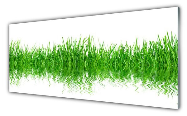 Sklenený obklad Do kuchyne Tráva rastlina príroda 125x50 cm