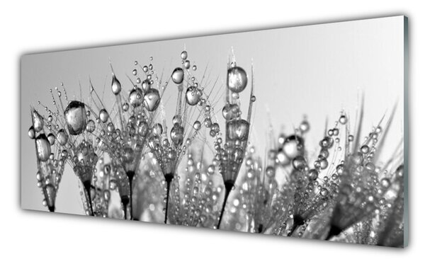 Sklenený obklad Do kuchyne Abstrakcie rastlina príroda 125x50 cm