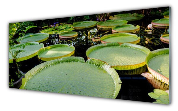Sklenený obklad Do kuchyne Listy jazero príroda 125x50 cm