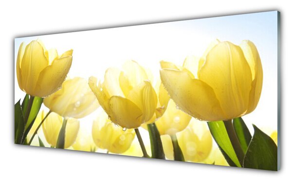 Sklenený obklad Do kuchyne Tulipány kvety lúče 125x50 cm