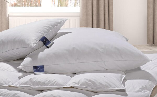 VANKÚŠ POD HLAVU, 40/40 cm Billerbeck - Prikrývky & vankúše