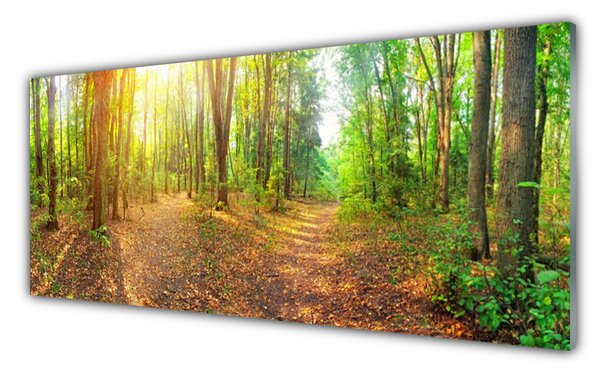 Sklenený obklad Do kuchyne Slnko príroda lesné chodník 125x50 cm