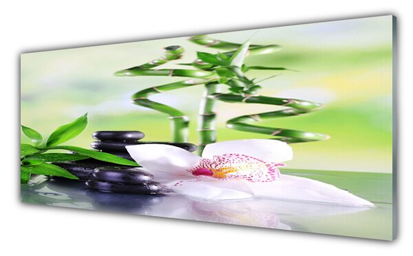 Sklenený obklad Do kuchyne Orchidea bambus zen kúpele 125x50 cm
