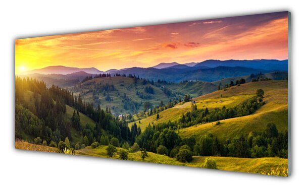 Sklenený obklad Do kuchyne Krajina lúka západ 125x50 cm