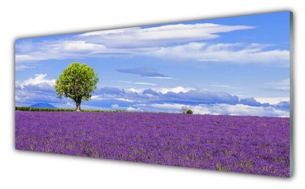 Sklenený obklad Do kuchyne Pole levanduľa strom príroda 125x50 cm