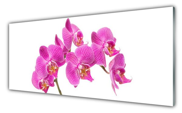 Sklenený obklad Do kuchyne Orchidea kvety príroda 125x50 cm