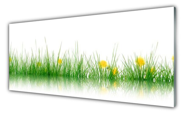 Sklenený obklad Do kuchyne Príroda tráva kvety 125x50 cm