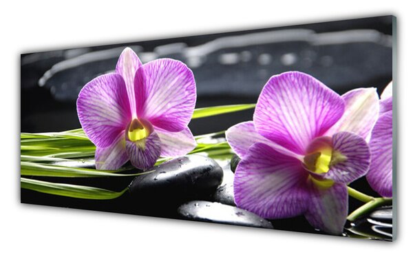 Sklenený obklad Do kuchyne Orchidea kamene zen kúpele 125x50 cm