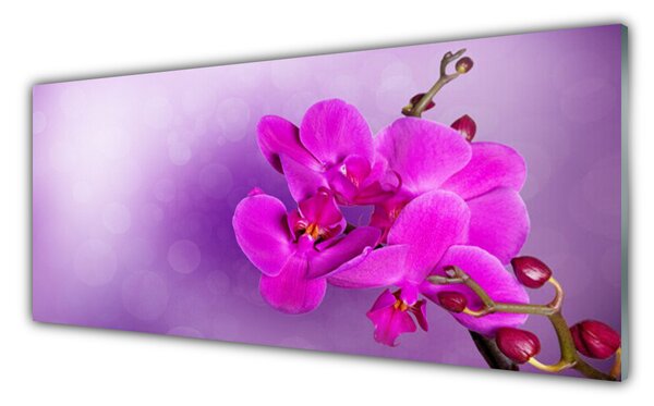 Sklenený obklad Do kuchyne Kvety plátky orchidea 125x50 cm