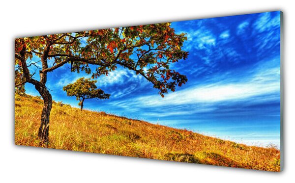 Sklenený obklad Do kuchyne Lúka strom príroda 125x50 cm