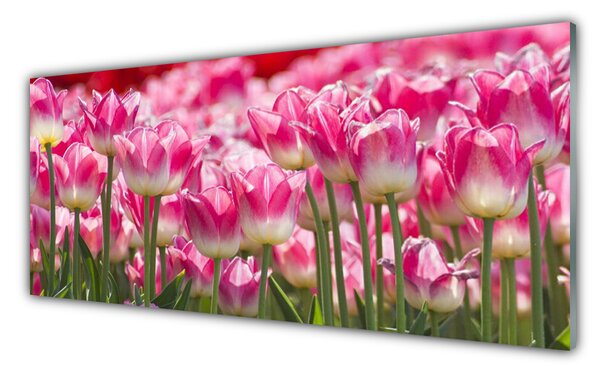 Sklenený obklad Do kuchyne Tulipány kvety príroda 125x50 cm