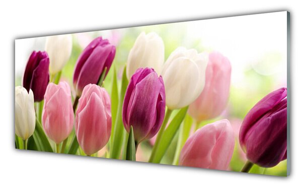 Sklenený obklad Do kuchyne Tulipány kvety príroda lúka 125x50 cm