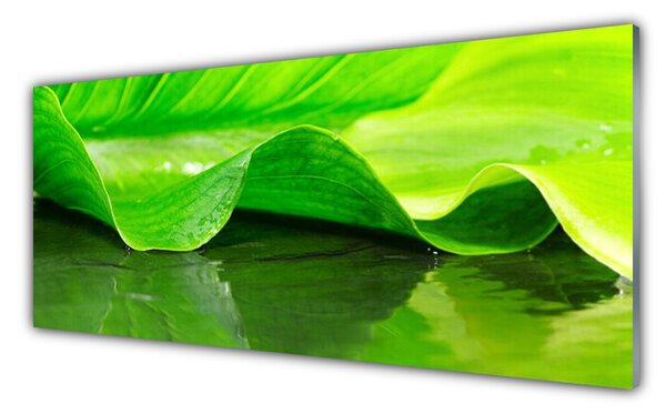 Sklenený obklad Do kuchyne List roslina příroda 125x50 cm