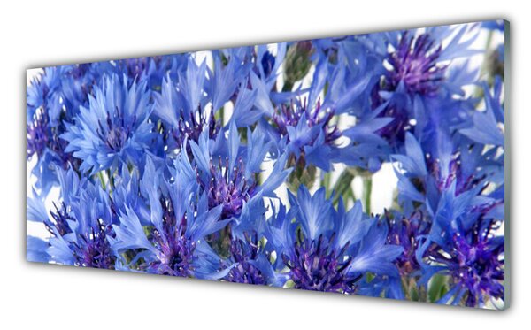 Sklenený obklad Do kuchyne Kvety rastlina príroda 125x50 cm
