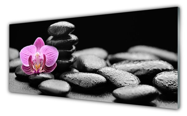 Sklenený obklad Do kuchyne Kvet kamene umenie 125x50 cm