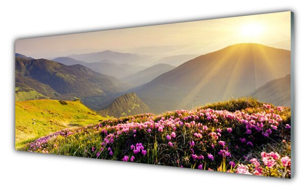 Sklenený obklad Do kuchyne Hora lúka krajina 125x50 cm