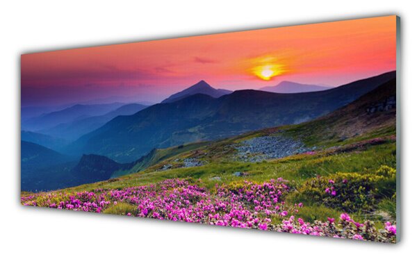 Sklenený obklad Do kuchyne Hory lúka kvety príroda 125x50 cm