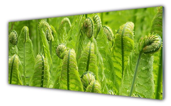 Sklenený obklad Do kuchyne Rastlina príroda 125x50 cm
