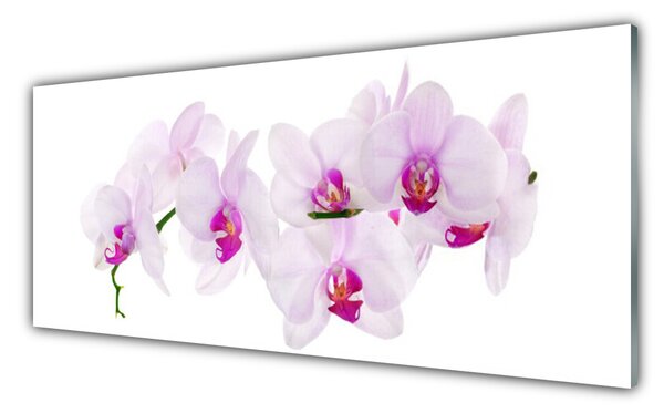 Sklenený obklad Do kuchyne Kvety rastlina príroda 125x50 cm