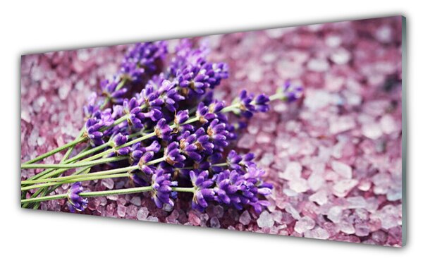 Sklenený obklad Do kuchyne Kvety rastlina príroda 125x50 cm
