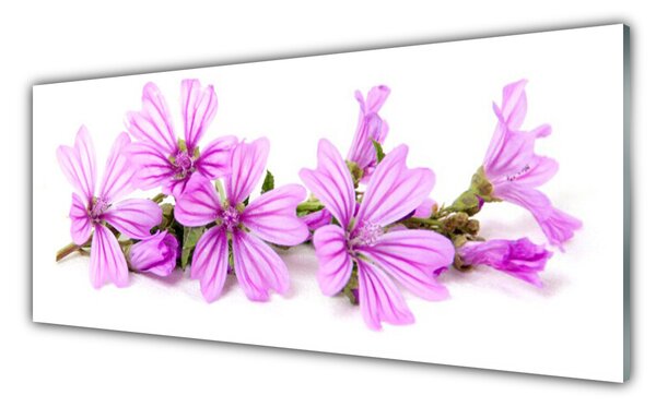 Sklenený obklad Do kuchyne Kvety rastlina príroda 125x50 cm