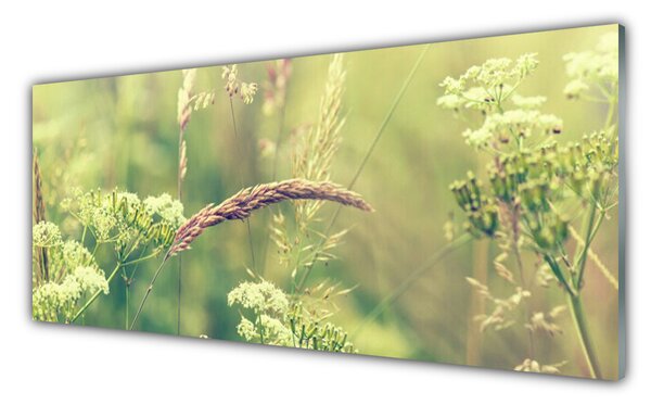 Sklenený obklad Do kuchyne Divoké rastliny príroda 125x50 cm