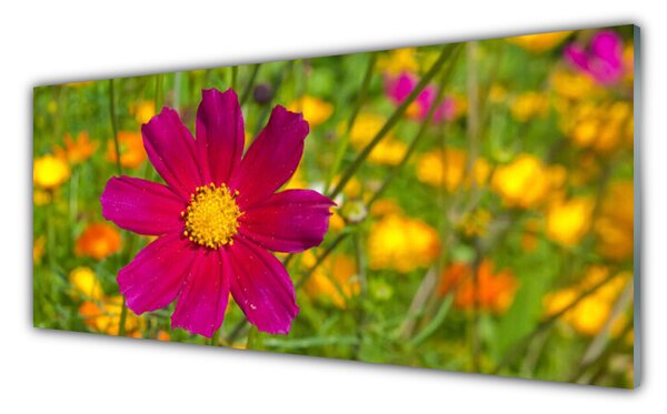 Sklenený obklad Do kuchyne Kvet rastlina príroda 125x50 cm