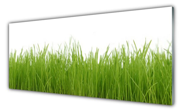 Sklenený obklad Do kuchyne Tráva rastlina príroda 125x50 cm